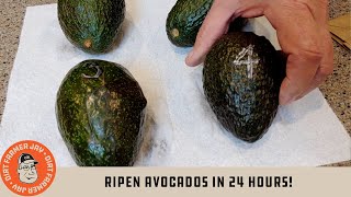 Ripen Avocados in 24 Hours [upl. by Eveleen985]