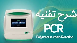 شرح بالعربي تقنيه PCR Polymerase chain Reaction بالعربي  كليه العلوم جامعه عين شمس  مصر [upl. by Haroun979]