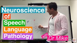 Neuroscience of Speech Language Pathology SLP [upl. by Enelrahs]