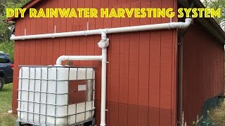 DIY Rainwater Harvesting System [upl. by Boris465]