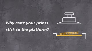 Why Do Prints Fail Part1When Prints Can’t Stick to the Platform Phrozen LCD 3D Printer [upl. by Suellen]