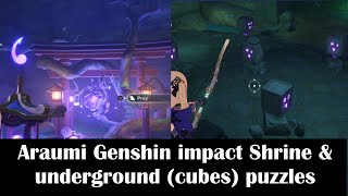 Araumi Genshin impact Shrine amp underground puzzlesCleansing defilement Quest location [upl. by Harod]