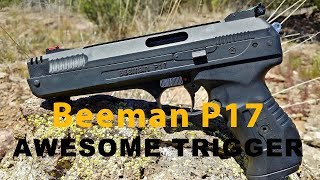 Beeman P17  Affordable Plinker With an AWESOME TRIGGER [upl. by Ruckman]