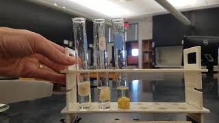 Lab 14 Enzyme activity experiment [upl. by Bottali900]