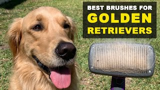 2 Best Brushes For Golden Retrievers That Shed A Lot [upl. by Leeth]