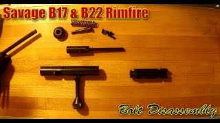 Savage B17 amp B22 Bolt Disassembly amp Reassembly [upl. by Murielle]