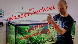 Wasserwechsel im Aquarium  Profi Tipp [upl. by Darleen]