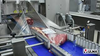 Meat vacuum packaging with Flowvac® system [upl. by Atnod]