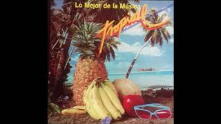 LO MEJOR DE LA MUSICA TROPICAL DEL AÑO 1988 TE ACUERDAS DE ESTAS [upl. by Tutto789]