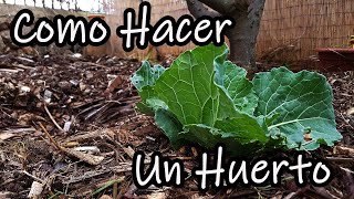 ¿Como Hacer un Huerto desde Cero Explicado Paso a Paso [upl. by Nnaitsirhc]