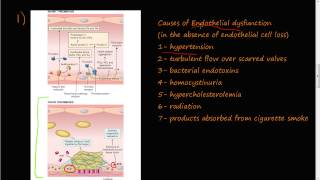 Optimizing Endothelial Function with Targeted Nutrition [upl. by Carma]