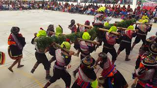 Danza Viga Huantuy  Festival de Danzas Mariscal Cáceres 2018 quot4to Fquot [upl. by Llener136]