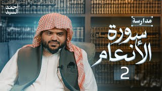 مدارسة سورة الأنعام 02  أحمد السيد [upl. by Novihs]