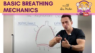 Basic Breathing Mechanics [upl. by Ifen]