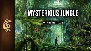 DampD Ambience  Mysterious Jungle  Immersive Realistic Animals [upl. by Ellenrahc31]