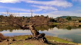 Atascadero Lake [upl. by Hnaht]