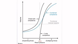 USMLE STEP 1 Questions Lung Compliance Curves [upl. by Enirehtakyram]