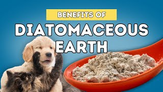 5 Benefits Of Diatomaceous Earth For Dogs and Cats [upl. by Oeram]