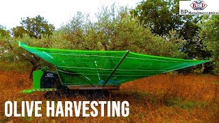 OLIVE HARVESTING MACHINE [upl. by Aneger]