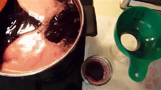 How to Make Chokecherry Syrup [upl. by Reynolds950]