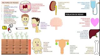 Candida albicans Candidiasis [upl. by Annairt]