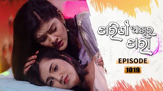 Tarini Akhira Tara  Full Ep 1019  10th May 2021  Odia Serial – TarangTV [upl. by Iggy]