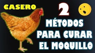 2 Métodos Para curar el Moquillo a los gallos y gallinas  EFECTIVO [upl. by Abihsat]