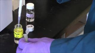 HPLC Tutorial 1preparing and loading sample 2015 version [upl. by Ahsyas]