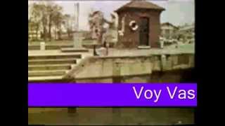 The Verb TO GO in Spanish  La Canción de Ir  Spanish Grammar [upl. by Holds388]