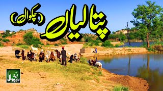 Patalian Chakwal  Punjab Pakistan  پتالیاں ، چکوال [upl. by Osyth912]