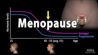 Menopause Perimenopause Symptoms and Management Animation [upl. by Zilber]