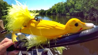 Fishing A Duck Lure For MONSTER Pike [upl. by Adlog]