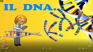 IL DNA in 3 minuti [upl. by Hollenbeck]