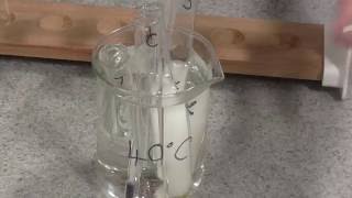 Enzyme Rate of Reaction Trypsin [upl. by Norit]