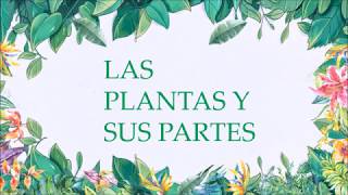 LAS PLANTAS Y SU ESTRUCTURA [upl. by Burack]