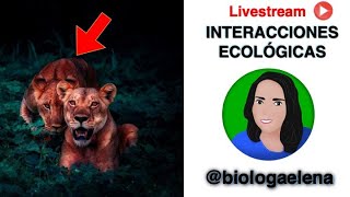 Interacciones biológicas  ecológicas [upl. by Aihtenak190]