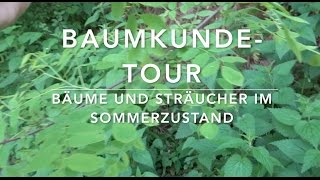 BaumkundeTour 17 Bäume und Sträucher erkennen [upl. by Anafetse233]