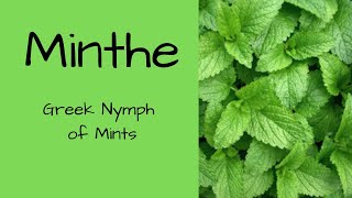 Minthe the Nymph Greek Mythology [upl. by Alejo]