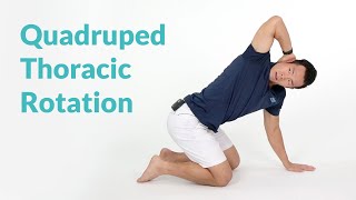 Quadruped Thoracic Rotation for Spine Mobility [upl. by Ontina]