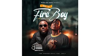 Best Of Fireboy Mp3 Mix 2020 [upl. by Yrreb]