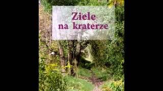 Ziele na kraterze  Melchior Wańkowicz  12 Audiobook PL [upl. by Eninnej645]