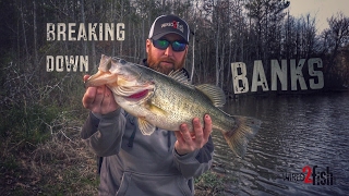 Tested Bank Fishing Tips for Catching Bass [upl. by Hauser]