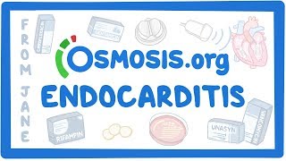 Clinicians Corner Endocarditis [upl. by Finstad]