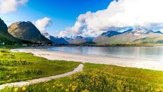 Uplifting Music  light positive happy music Gullrosøya  1 hour [upl. by Scherman]