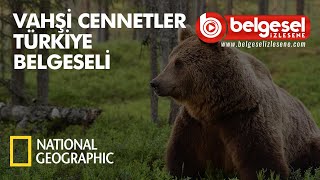 Vahşi Cennetler Türkiye Belgeseli  Türkçe Dublaj [upl. by Margareta]