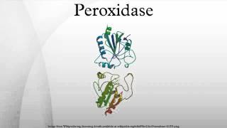 Peroxidase [upl. by Reine]