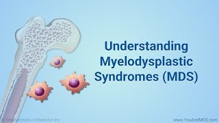 Understanding Myelodysplastic Syndromes MDS [upl. by Illa64]