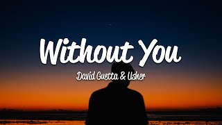 David Guetta  Without You Lyrics ft Usher [upl. by Ahseihs]