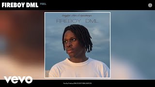 Fireboy DML  Feel Audio [upl. by Ennayrb]