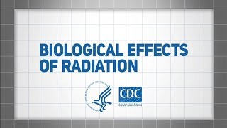 Biological Effects of Radiation [upl. by Leveroni]